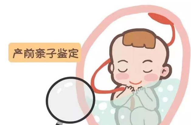 丹东怀孕十一周怎么做无创孕期亲子鉴定,丹东办理无创孕期亲子鉴定多少钱一次